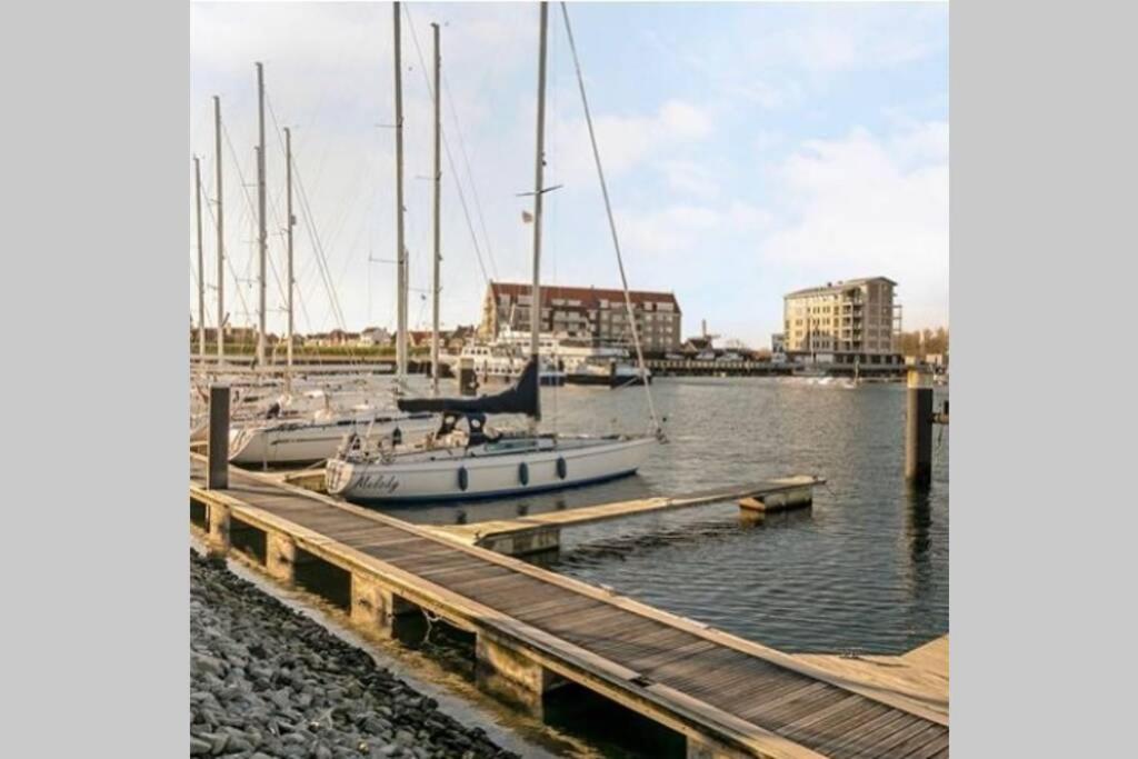 Huisje Vogelenzang Zeeland Sint Annaland Dış mekan fotoğraf