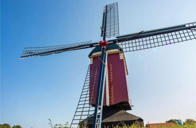 Huisje Vogelenzang Zeeland Sint Annaland Dış mekan fotoğraf