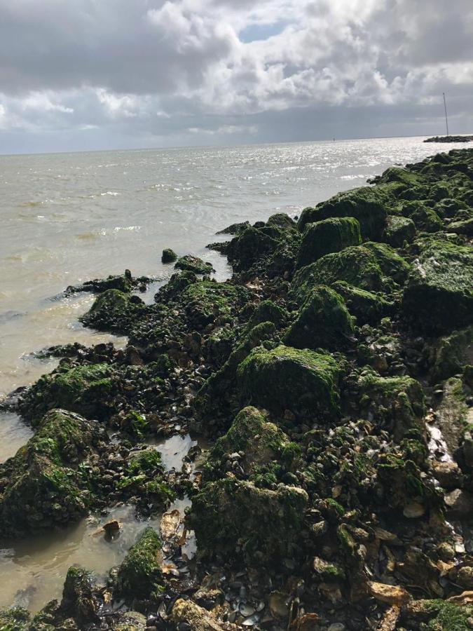 Huisje Vogelenzang Zeeland Sint Annaland Dış mekan fotoğraf