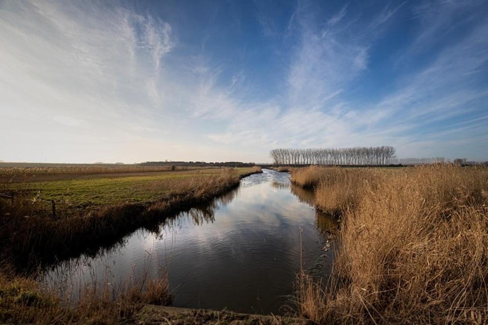 Huisje Vogelenzang Zeeland Sint Annaland Dış mekan fotoğraf