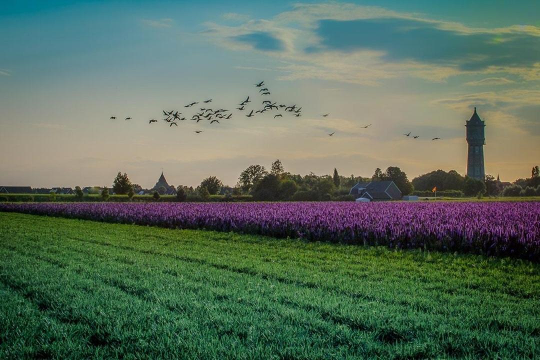 Huisje Vogelenzang Zeeland Sint Annaland Dış mekan fotoğraf